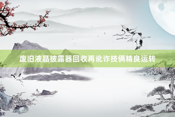 废旧液晶披露器回收再讹诈技俩精良运转