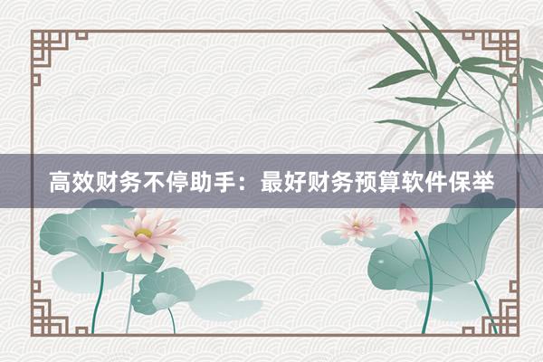 高效财务不停助手：最好财务预算软件保举